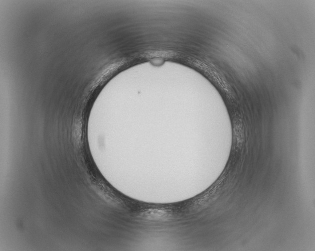 X0000115430159200912161441