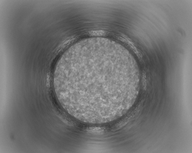 X0000115430161200912161441