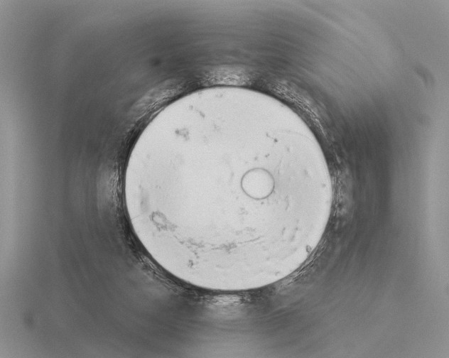 X0000115430162200912161441