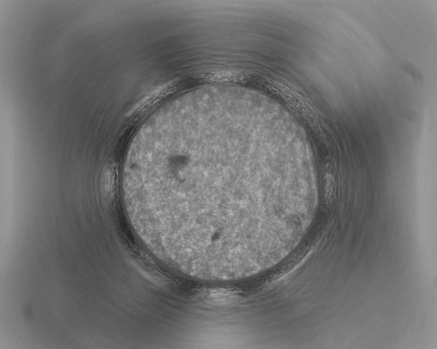 X0000115430165200912161441