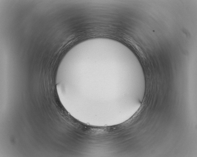 X0000115430170200912161441