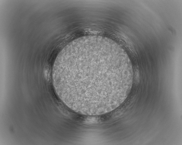 X0000115430177200912161441