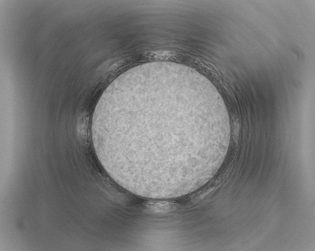 X0000115430181200912161441