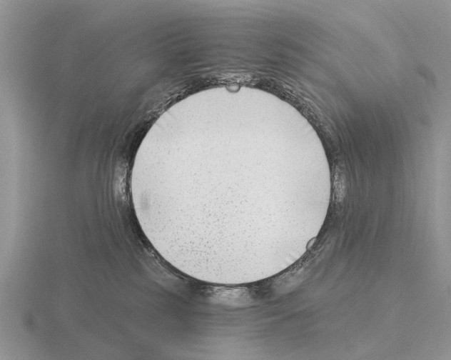 X0000115430185200912161441