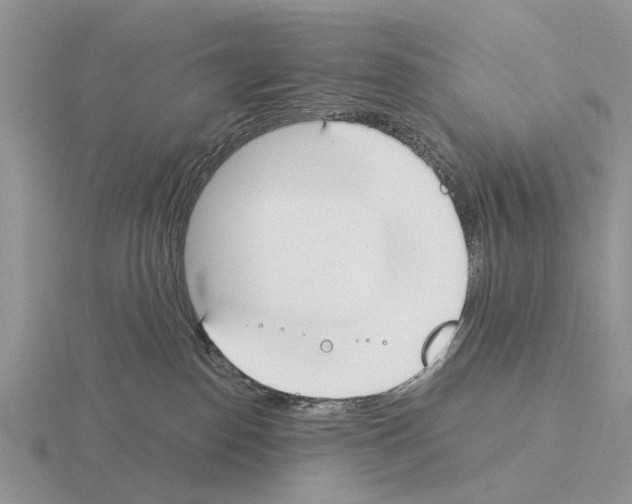 X0000115430186200912161441