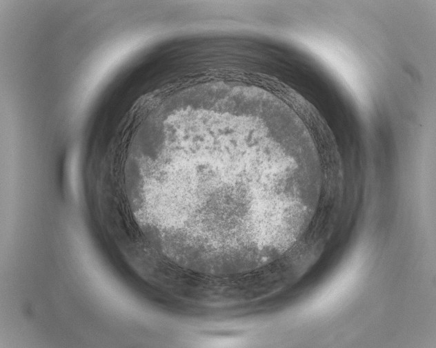 X0000115430189200912161441