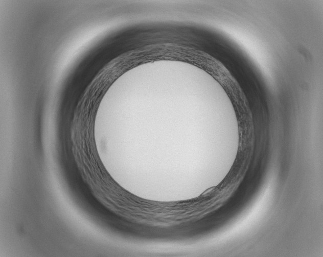 X0000115430191200912161441