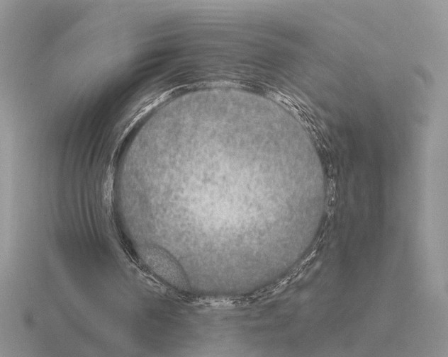 X0000115430194200912161441