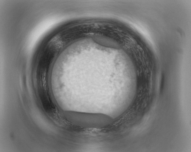 X0000115430195200912161441