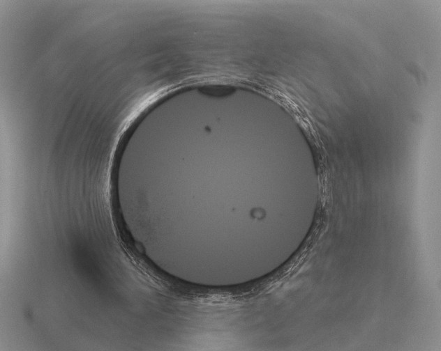 X0000115430196200912161441