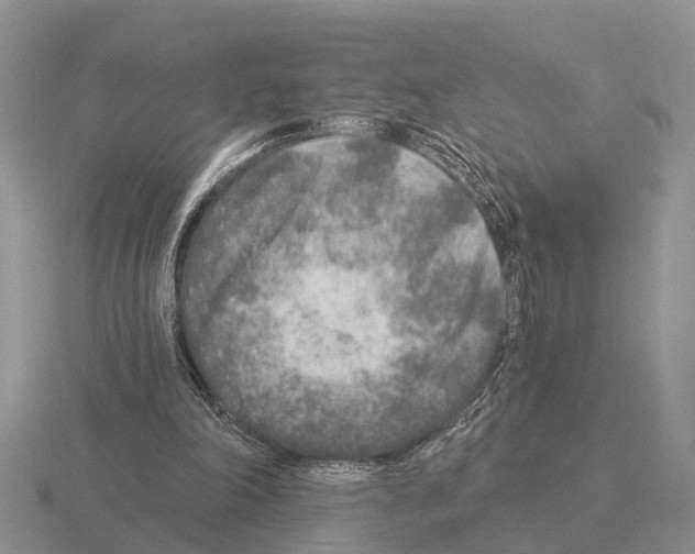 X0000115430198200912161441