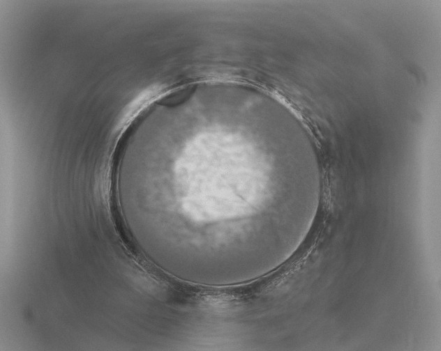 X0000115430199200912161441