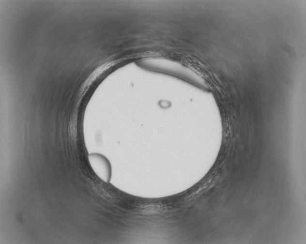 X0000115430200200912161441