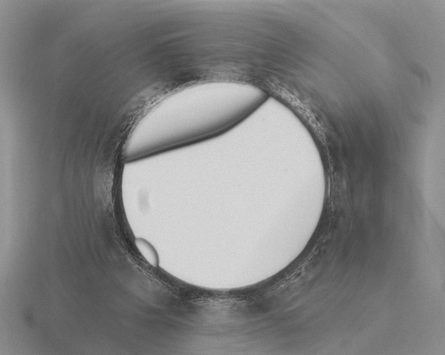 X0000115430201200912161441