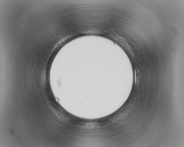 X0000115430204200912161441