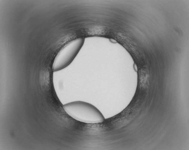 X0000115430211200912161441