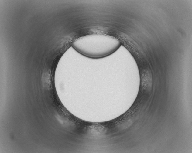 X0000115430215200912161441