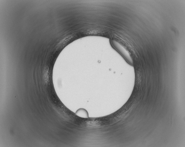 X0000115430216200912161441