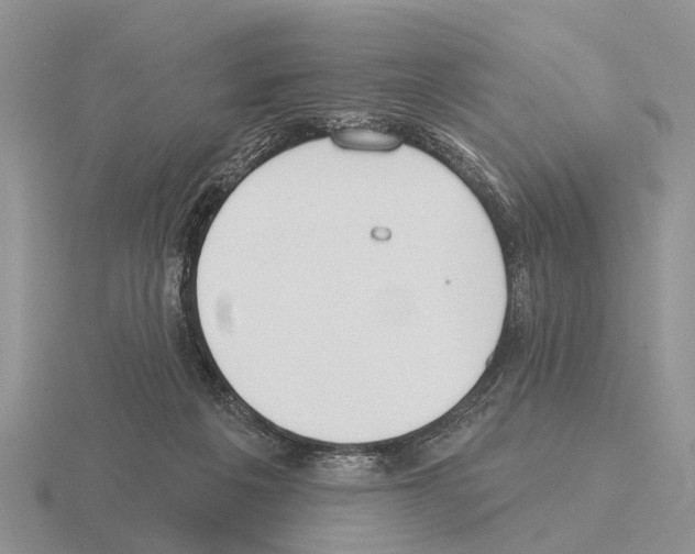 X0000115430217200912161440