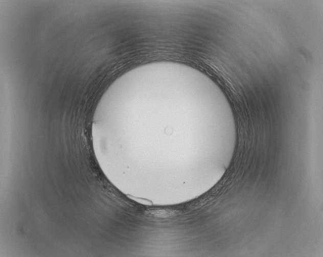 X0000115430221200912161440