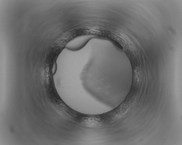 X0000115430223200912161440