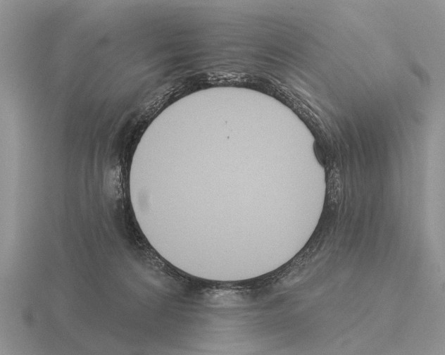 X0000115430224200912161440