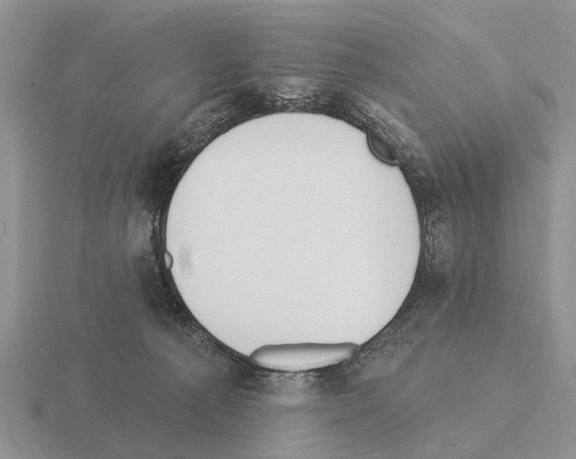 X0000115430225200912161440