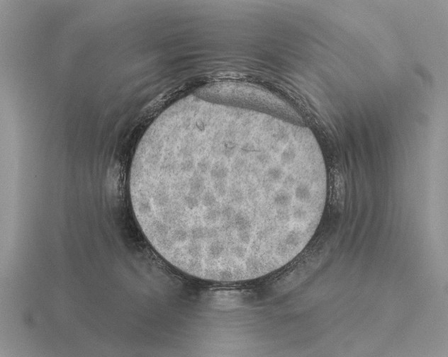 X0000115430228200912161440