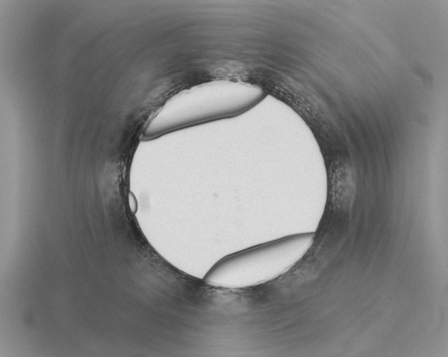 X0000115430229200912161440