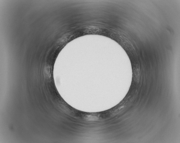 X0000115430232200912161440