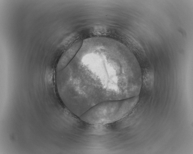 X0000115430233200912161440