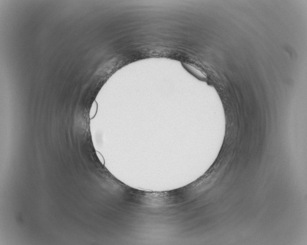 X0000115430240200912161440