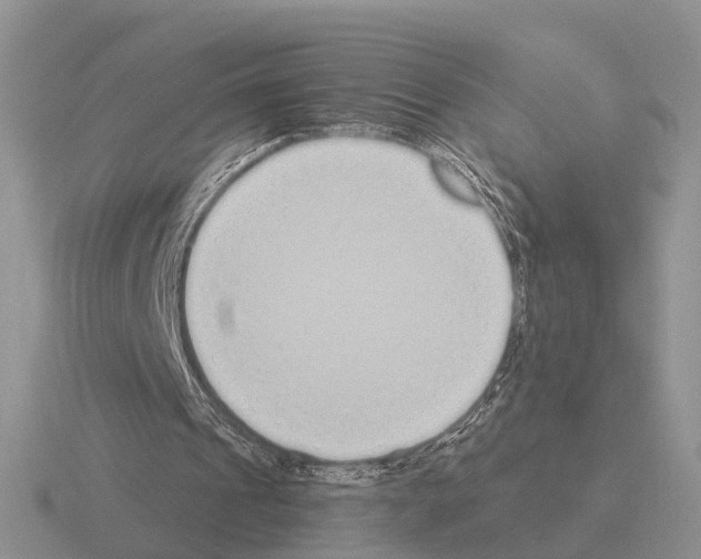 X0000115430241200912161440