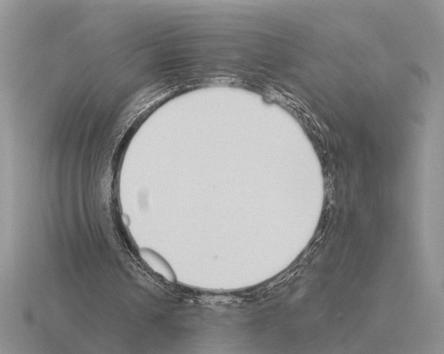 X0000115430242200912161440