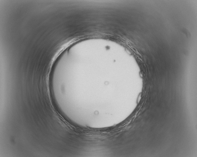 X0000115430244200912161440