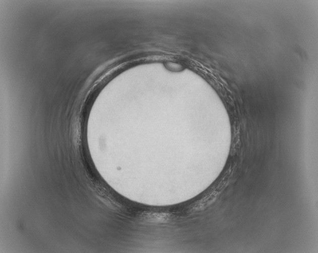 X0000115430247200912161440