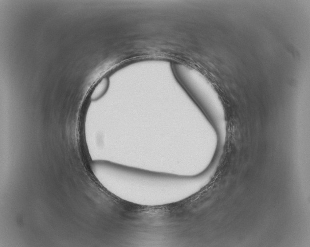 X0000115430248200912161440