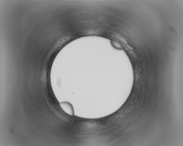 X0000115430250200912161440