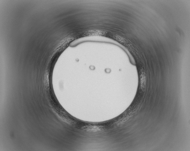 X0000115430254200912161440