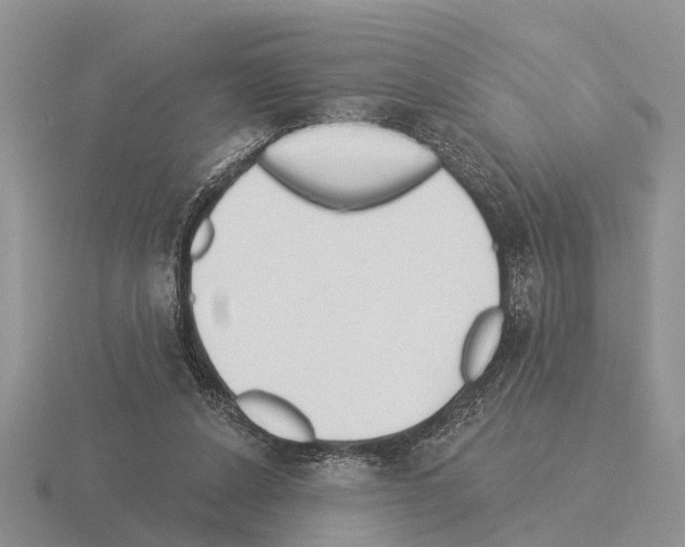 X0000115430256200912161440