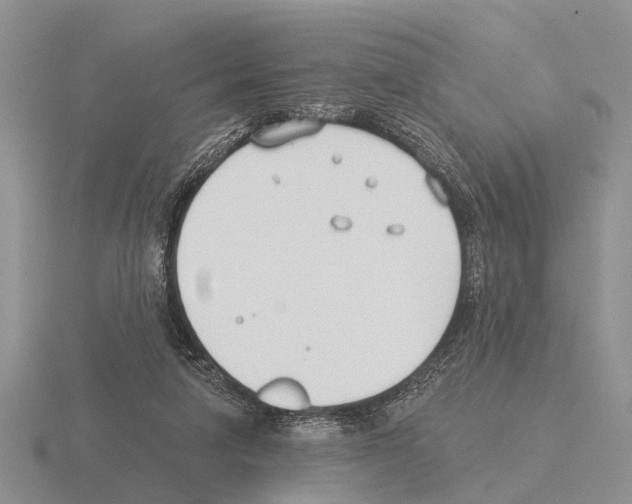 X0000115430258200912161440