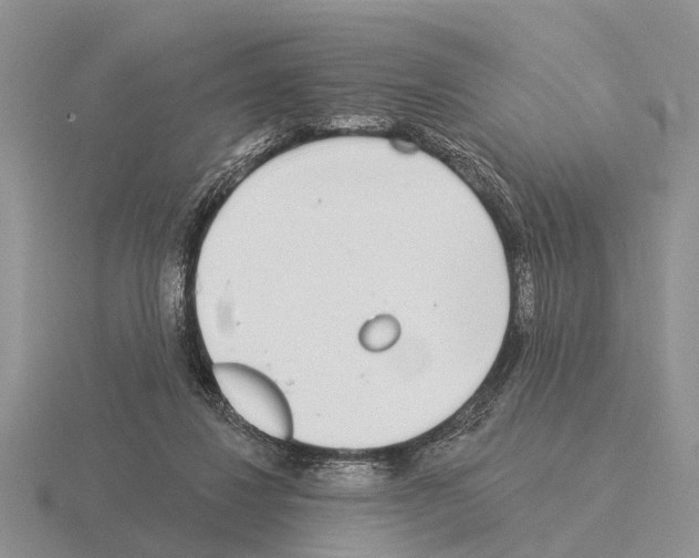 X0000115430260200912161440