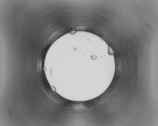 X0000115430262200912161440