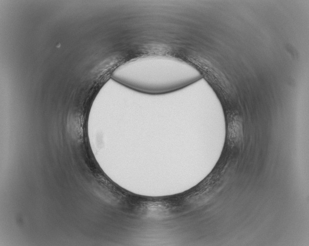 X0000115430264200912161440