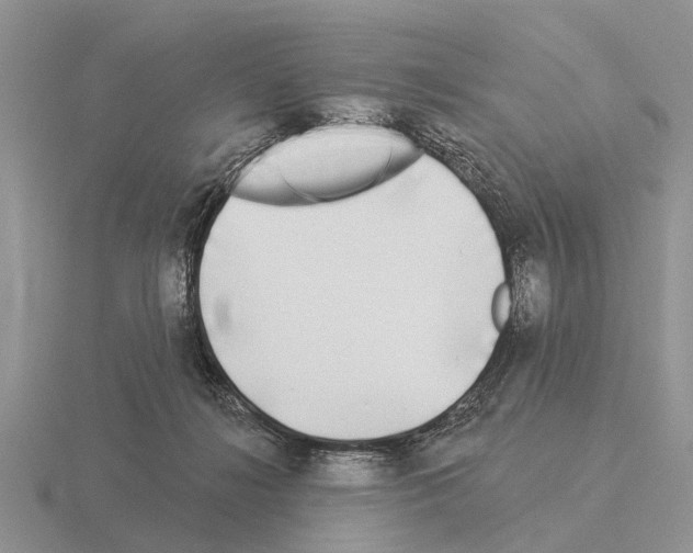 X0000115430268200912161440