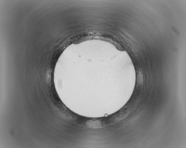 X0000115430271200912161440