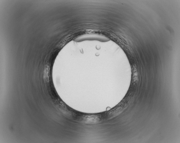 X0000115430275200912161440