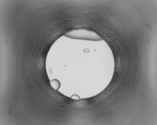 X0000115430278200912161440