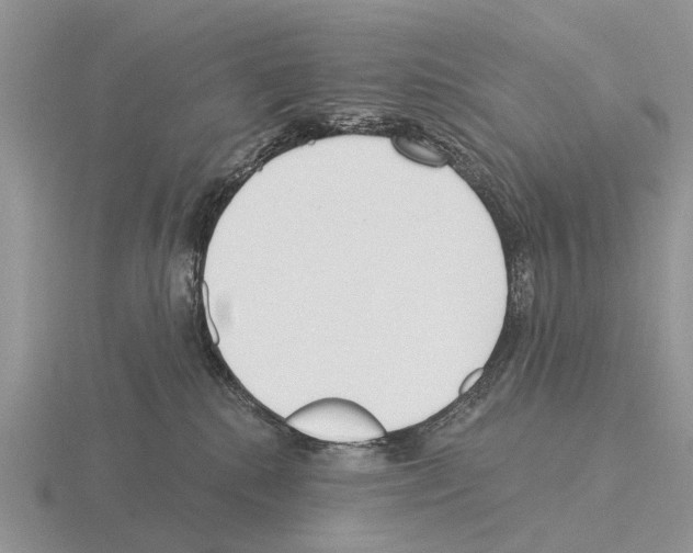 X0000115430280200912161440