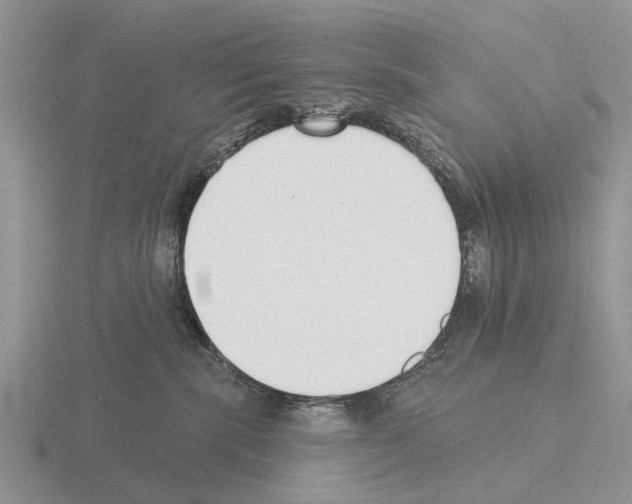 X0000115430283200912161440